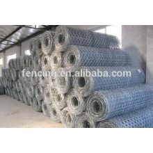 Stainless Steel Anping Hexagonal Wire Mesh for sales